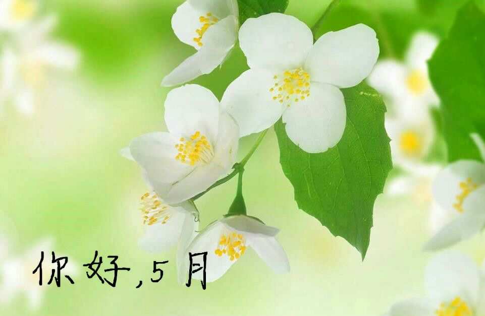 【仲夏5月】-成都、長沙 、桂林 、青島、南京 ......6月我們在哪里相見？