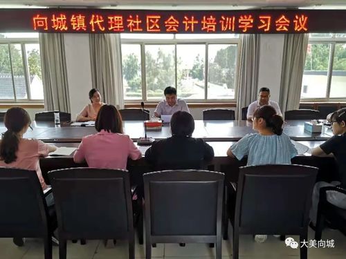 規(guī)范財務(wù)核算，提升履職能力——向城鎮(zhèn)組織召開社區(qū)代理會計業(yè)務(wù)培訓會